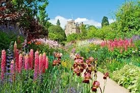 Sheep are native to the hot dry lands of the mediterranean and mesopotamia; Scottish Gardens