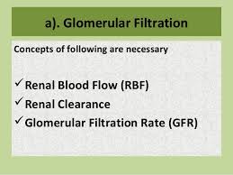 Urine Formation Glomerular Filtration
