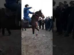 Смотрите видео таджикистан бузкаши онлайн. Radio Station Of Odil Polvon Isfara Melodweb Online Songs Music Playlists