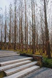重庆万科 森林公园 a n尚源景观 mooool木藕设计网 forest park landscape forest
