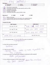 Trna and mrna transcription worksheet with answer key / complete chart comparing future transcription translation worksheet sumnermuseumdc org. Key Protein Synthesis Notes Packet
