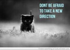 No Matter How Much Cats Fight There Always Seem To Be Plenty Of Kittens Description From Quotesgram Com I Sear Cat Quotes Funny Cat Captions Cute Cat Quotes