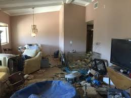 Rescataron A 40 Pit Bulls De Una Casa Abandonada Y Les Dieron Una Nueva Vida