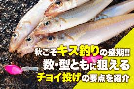すべての釣り人のための総合サイトMeME