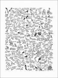 132 Birds At The American Museum Of Natural History Natural History Museum Museum Of Modern Art