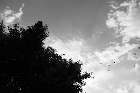 Maybe you would like to learn more about one of these? Monolink Hello Friends I Ve Updated My Monomusic Playlist On Spotify With Some New Songs By Howling Nicolas Jaar Acid Pauli And More Give It A Listen Https Bit Ly Mono Music Facebook