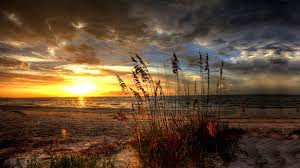 Hintergrundbilder Hintergrundbilder Kostenlos Hintergrundbilder Hd Naturfotografie Hintergrundbilder Hd Hintergrundbilder