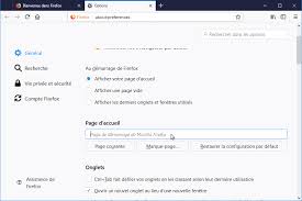Je fais comment svp ? Trucs Et Astuces Pour Firefox Lehollandaisvolant Net