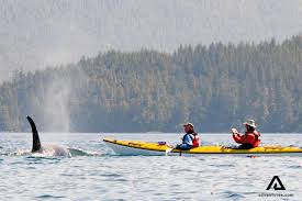 Don't buy a kayak until you check out sale prices on sea eagle explorer kayak packages. 5 Best Places To Kayak And Canoe In Canada Adventures Com