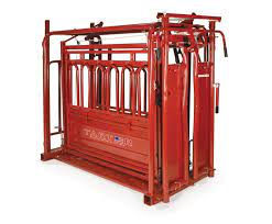 29 Bk Beef Farm Coming Soon Ideas Beef Farming Beef Cattle Cattle