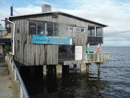 5th house down on the right. An Introduction To Cedar Key Florida S Waterfront Bars On Dock Street Beach Bar Bums