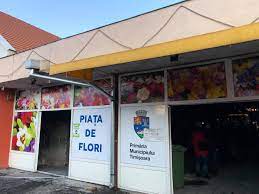 Sensiblu timisoara kaufland gheorghe lazar str. Incendiu Piata 700 Flori 18 Observator De Timis