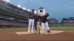 Baseball goes to the dogs tonight at Nats Park
