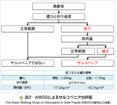 スポンサーリンク このページで学べる項目 1．身長・体重・bmiなど ・ 身長（bh：body height） ・ 体重（bw：body weight） 現体重（abw：actual body weight） actu… 続きを読む »身体計測値と計算式（身長・体重から上腕周囲長・上腕三頭筋皮下脂肪厚・上腕筋囲など） ï¼' ã‚µãƒ«ã‚³ãƒšãƒ‹ã‚¢ é…'äº•åŒ»ç™‚æ ªå¼ä¼šç¤¾