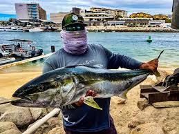 STRIPED MARLIN AND ROOSTERS DAZZLE PISCES ANGLERS