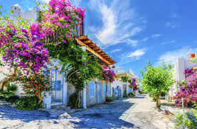 Bodrum is a district and a port city in muğla province, in the southwestern aegean region of turkey. Bodrum Tipps Der Optimale Guide Fur Urlaub An Der Turkischen Agais