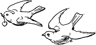 Black And White Clipart Images Of Birds Two Birds Clipart Etc Bird Clipart Black And White Birds Bird Drawings