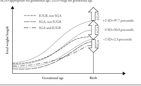 prenatal growth chart demonstrating development of