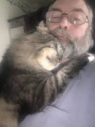 Is my cat ugly or lovable?