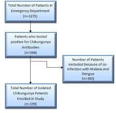 Cureus Clinical Spectrum Of Chikungunya In Pakistan
