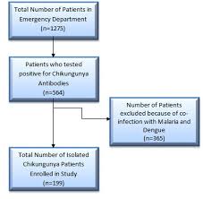 Cureus Clinical Spectrum Of Chikungunya In Pakistan