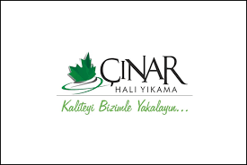 Aydin Cinar Hali Koltuk Yikama En Iyi 10 Lar