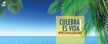 (4 days ago) jeep, suv & golf cart rentals on culebra, pr culebra, puerto rico offers adventure seekers some of the most beautiful beaches in the world. Carlos Jeep Rental Home Facebook