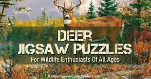 Nothing passes the time quite as well as a challenging, yet still fun, puzzle. Jigsaw Puzzles Of Deer Absolutely Stunning Wildlife Deer Puzzles