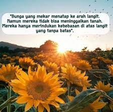 List 13 wise famous quotes about bunga matahari: 50 Quotes Tentang Bunga Yang Indah Dan Romantis Yosef Web Id