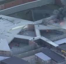 Landwirte klagen über einen dramatischen. Mauseplage In Australien Gefangnis Wegen Gestank Und Schaden Evakuiert Welt