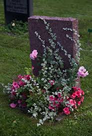 Just as in christianity, white roses are used to represent purity and virtue. 14 Cemetery Garden Ideas Plants Garden Cemetery