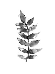 Black And White Botanical Prints Botanical Print Wall Art Print Black White Print Black Etsy Leaf Print Art Tropical Art Print Botanical Wall Art