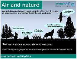 The impact of air pollution on animals is more or less similar to that on man. Imaginair Photo Story Competition Closed European Environment Agency