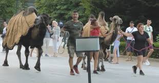 Porno michelle comi onlyfans upon meeting for the first