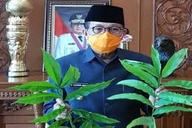 Salah satu bagian penting dari upacara ini adalah daun legundi (vitex trifolia), yang oleh masyarakat lokal sering disebut sebagai daun lawarani (bugis) atau leko' lanra oleh orang makassar. Khasiat Daun Sungkai Untuk Obati Covid 19 Antara News Makassar