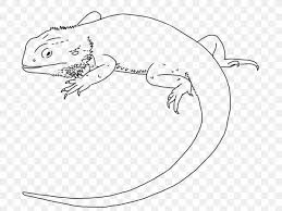 This bearded dragon coloring page is sure to delight any reptile enthusiast. Lizard Drawing Central Bearded Dragon Line Art Clip Art Png 1024x768px Lizard Amphibian Animal Figure Area