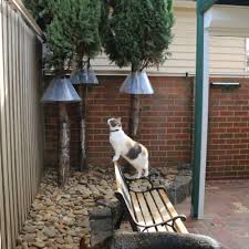 2 Metre Diy Fence Kit Oscillot Cat Proof Fence System Oscillot Proprietary Ltd Cat Fence Cat Proofing Cat Enclosure