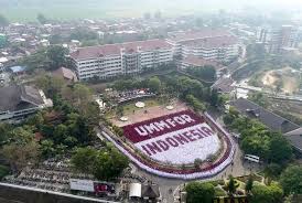 Image result for UMM