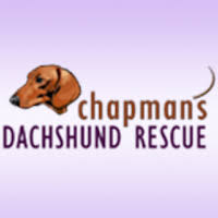 Learn more about adopting a dachshund puppy or dog. Almost Home Dachshund Rescue Society Home Facebook