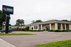 Visit east bay animal hospital. Temple Terrace Animal Hospital Visit Us At Temple Terrace