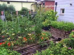 Costruire Un Orto Rialzato Cassoni Vasche Per Orto Rialzato Le Foto Di Un Amico Recinzioni Da Giardino Giardino Fai Da Te Giardino
