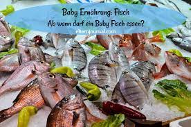 #baby #eier fragst du dich, ab wann du deinem baby zusätzlich zur muttermilch oder milchnahrung etwas zu trinken anbieten sollst? Baby Ernahrung Fisch Ab Wann Darf Mein Baby Fisch Essen