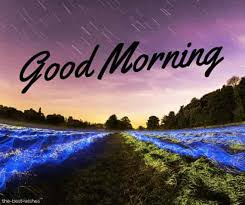 Ultra hd wallpapers 4k, 5k and 8k backgrounds for desktop and mobile. 104 Stunning Good Morning Wallpaper Hd Images And Greetings