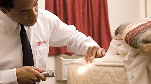 I am about to start a new job which will be a fresh start for me but how can i stop myself from losing. How To Get Rid Of Bed Bugs Orkin Canada