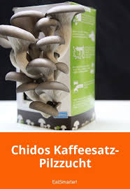 Chidos Kaffeesatz Pilzzucht Kaffeesatz Pilze Gemahlener Kaffee