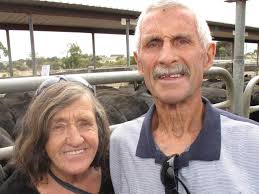 Heifers to $3.58/kg at Warrnambool weaner sale
