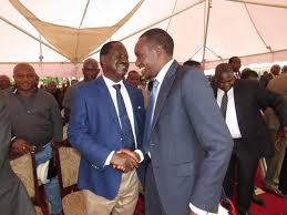 Simba is a fictional character and the protagonist of disney's the lion king franchise. More Leaders Back Simba Arati For Top Job