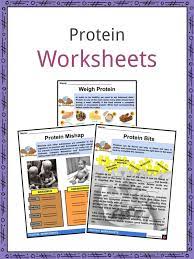 Top 24 esl activities for kids. Protein Facts Worksheets Properties For Kids