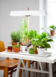 Kekkila Light Design Linda Bergroth Nice Plant Light Planten Kamerplanten Tuinkabouters