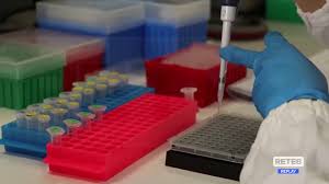 Dovrei visitare il roseto giorno 23 di questo mese, vale la pena oppure le rose sono ancora chiuse? Roseto Covid Studenti In Quarantena Per La Positivita Dell Assistente Rete8
